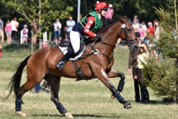 hambach-2015_cic1-047