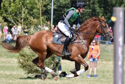 hambach-2015_cic1-056