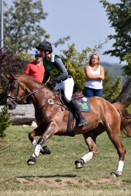 hambach-2015_cic1-058