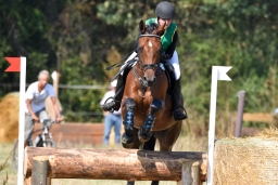 hambach-2015_cic1-061