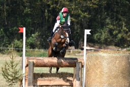 hambach-2015_cic1-063