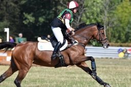 hambach-2015_cic1-065