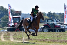 hambach-2015_cic1-067