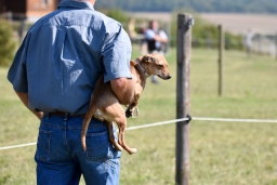 hambach-2015_cic1-072