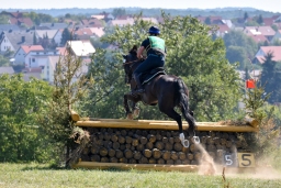 hambach-2015_cic1-077
