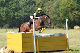 hambach-2015_cic1-081