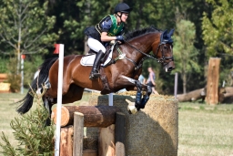 hambach-2015_cic1-090