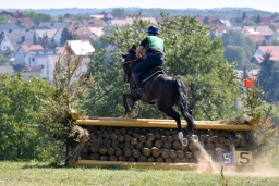 hambach-2015_cic1-077