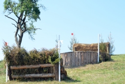 hambach-2015_cic2-003-jpg