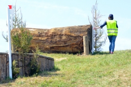 hambach-2015_cic2-012-jpg