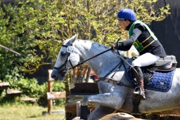 hambach-2015_cic2-026-jpg