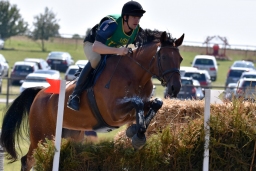 hambach-2015_cic2-037-jpg