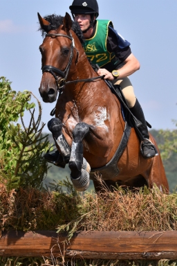 hambach-2015_cic2-039-jpg