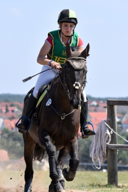 hambach-2015_cic2-050-jpg