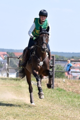 hambach-2015_cic2-054-jpg