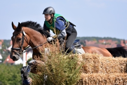 hambach-2015_cic2-064