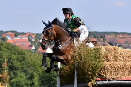hambach-2015_cic2-070