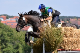 hambach-2015_cic2-084