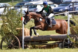 hambach-2015_cic2-085