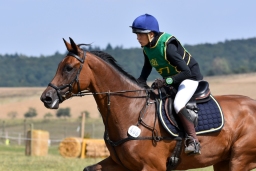 hambach-2015_cic2-089