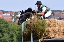 hambach-2015_cic2-093