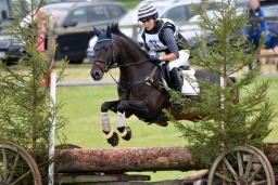cic2_hambach-2016-046