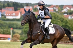 cic2_hambach-2016-051