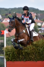 cic2_hambach-2016-054