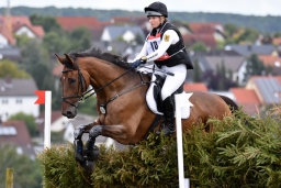 cic2_hambach-2016-063
