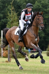 cic2_hambach-2016-070