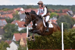 cic2_hambach-2016-071