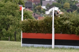 cic2_hambach-2016-074