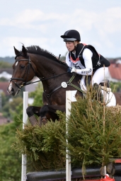 cic2_hambach-2016-105