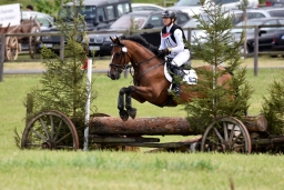 cic2_hambach-2016-116