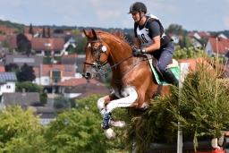 cic2_hambach-2016-179