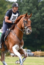 cic2_hambach-2016-182