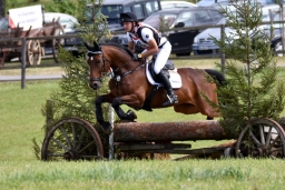cic2_hambach-2016-191