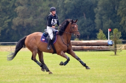 cic2_hambach-2016-204