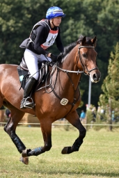 cic2_hambach-2016-213