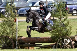 cic2_hambach-2016-216