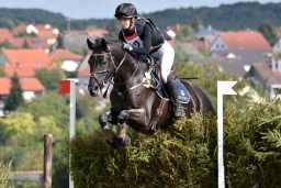 cic2_hambach-2016-219