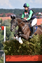 cic2_hambach-2016-246