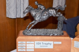 igv-versammlung-2014_baden-wuerttemberg-001-jpg