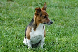 kreuth-2012_cic2-003-jpg