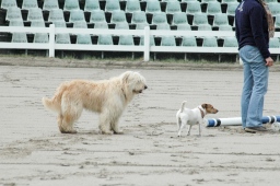 kreuth-2012_cic2-009-jpg