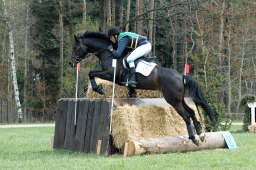 kreuth-2012_cic2-040-jpg