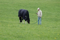 kreuth-2012_cic2-063-jpg