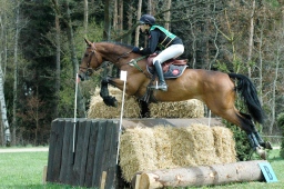 kreuth-2012_cic2-088-jpg