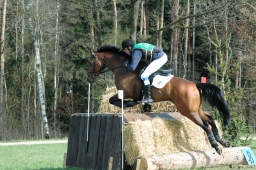 kreuth-2012_cic2-141-jpg