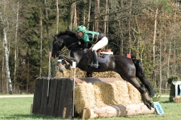 kreuth-2012_cic2-144-jpg
